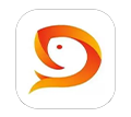seo大鱼号